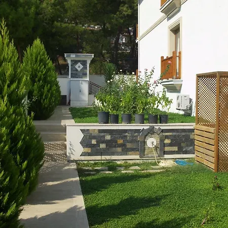 Hazel * Akyaka (Mugla)